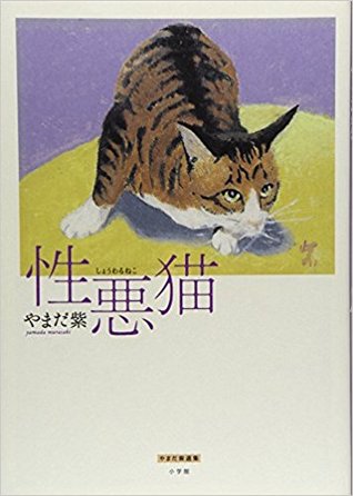 性悪猫