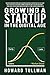 Growing a Startup in the Digital Age by Howard Tullman
