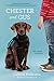 Chester and Gus by Cammie McGovern