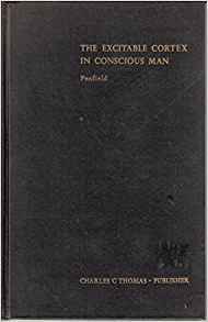 The Excitable Cortex in Conscious Man