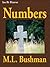 Numbers (Two Bit Westerns/Eli Stone Book 4)