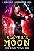 Slayer's Moon (Sable Hart Vampire Slayer #4)
