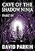 Cave of the Shadow Ninja: Part IV