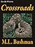 Crossroads (Two Bit Westerns/Eli Stone Book 5)
