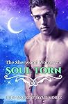 Soul Torn by Jody Morse
