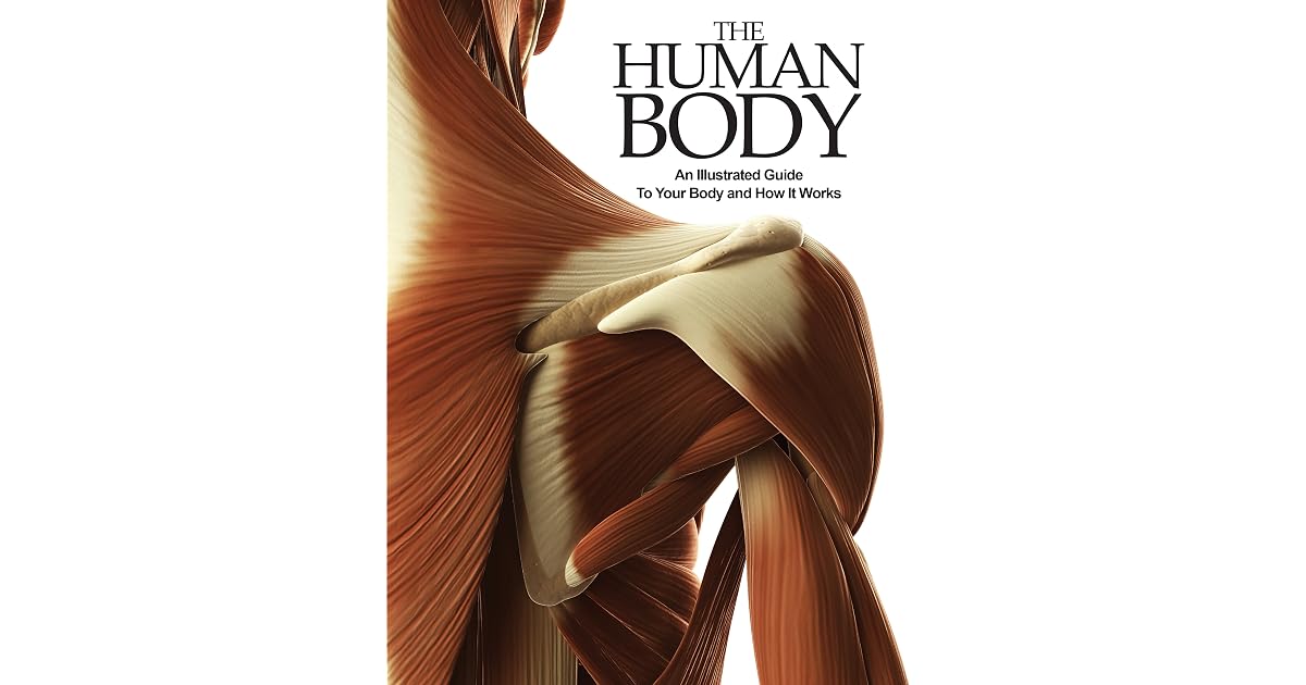 The Human Body by Peter Abrahams