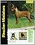 Pinscher Miniatura (Excellence) (Spanish Edition)
