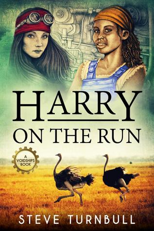 Harry on the Run (ebook)