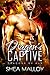 Dragon's Captive (Dragons of Rur #1)
