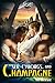 Sex, Cyborgs, and Champagne (Vega Space Vacations #1)