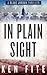 In Plain Sight (Blake Jordan #3)