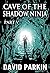 Cave of the Shadow Ninja: Part V