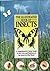 Illustrated Book of Insects