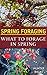 Spring Foraging: What To Forage In Spring