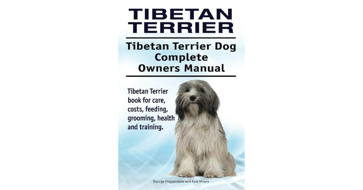 tibetan terrier training