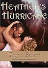 Heathen's Hurricane (Stormy Encounters Series, #2)