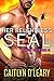 Her Relentless SEAL (Midnig...