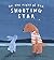 On the Night of the Shooting Star by Amy Hest