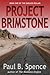 Project Brimstone (The Endless Realms, #1)