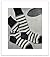 #1634 CHAD STRIPED SOCKS VI...