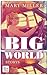 Big World: Storys (German Edition)