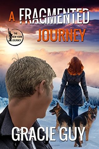 A Fragmented Journey (The New York Journey Series #1)