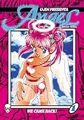 Angel, vol. 1