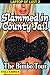 Slammed in County Jail (Laptop of Lust Book 2)
