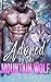 Adored by the Mountain Wolf (Mountain Wolf Protectors, #2)