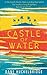 Castle of Water: A Contemporary Adventure Novel Filled with Black Humour and Heart