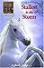Stallion in the Storm by Ben M. Baglio Stallion in the Storm by Ben M. Baglio