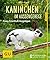 Kaninchen im Außengehege: P...