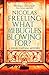 What are the Bugles Blowing For? (The Henri Castang Mysteries)
