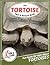 The Tortoise Fact and Picture Book: Fun Facts for Kids About Tortoises (Turn and Learn)