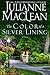 The Color of a Silver Lining (The Color of Heaven #13)