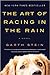 The Art of Racing in the Rain