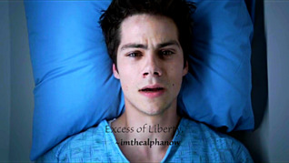 Excess of Liberty (ebook)