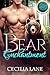 Bear Enchantment (Arcane Affairs Agency, #2)