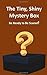 The Tiny, Shiny Mystery Box Be Ready to Be Scared by Richard Linville