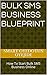 Bulk SMS Business Blueprint: How To Start Bulk SMS Business Online (Unlimited WEALTH BOOKS)