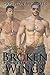 Broken Wings (Phoenix Rebor...
