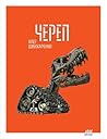 Череп Череп