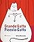 Grande Gatto Piccolo Gatto