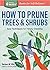 How to Prune Trees & Shrubs: Easy Techniques for Timely Trimming. A Storey BASICS® Title