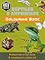 Reptiles & Amphibians Colouring Book (Bear Grylls Activity)