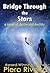 Bridge Through the Stars: A Novel of Desire and Destiny
