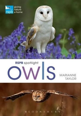 RSPB Spotlight Owls (Paperback)