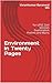 Environment in Twenty Pages...