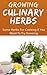 Growing Culinary Herbs: Some Herbs For Cooking If You Want To Try Growing