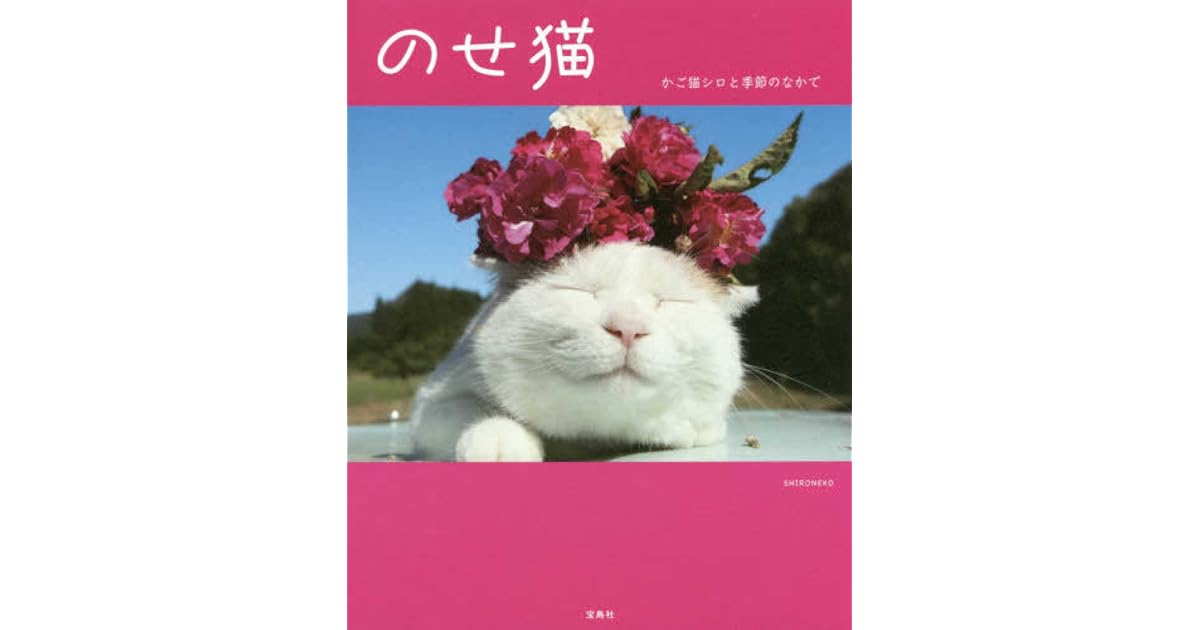 のせ猫 By Shironeko